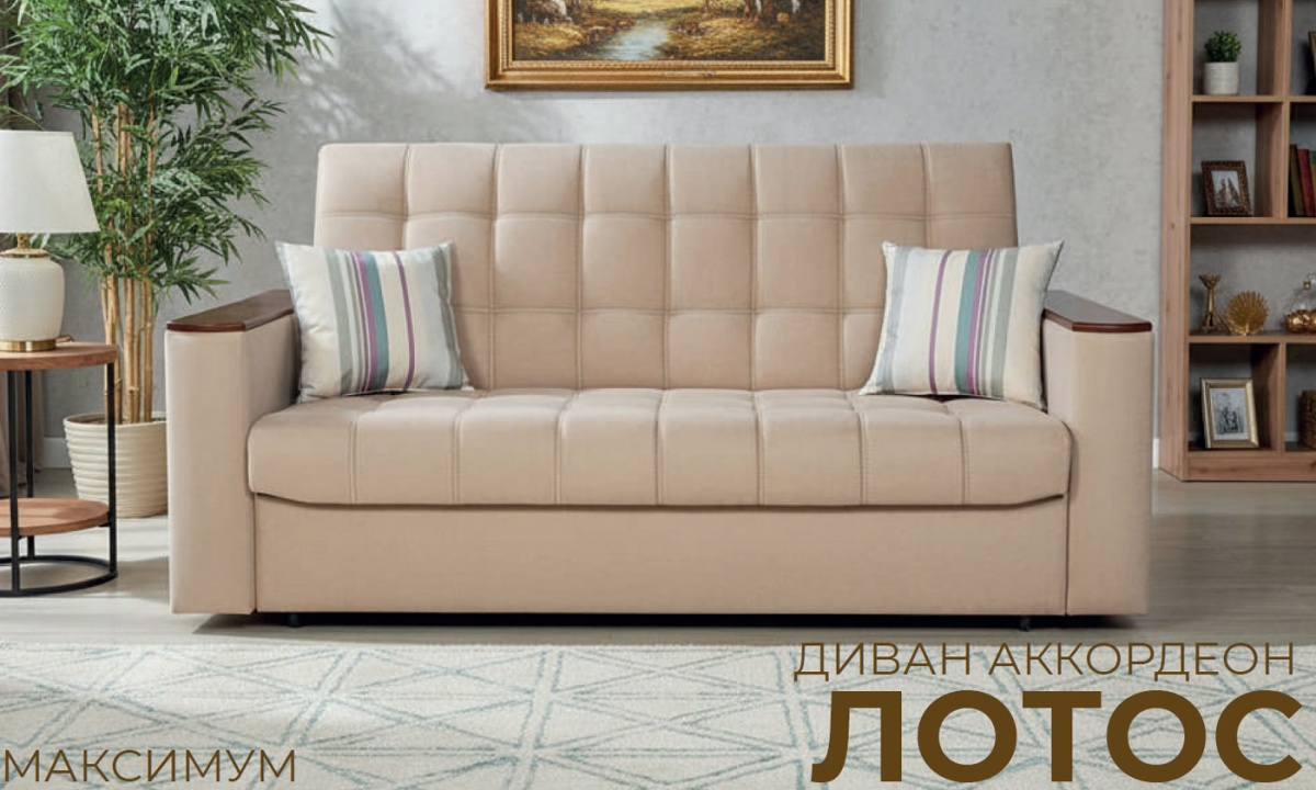 Фотография диван-кровать Лотос максимум
