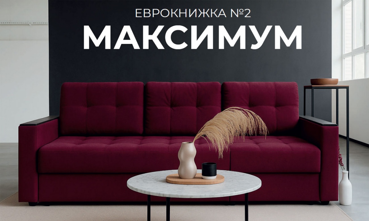 Фотография диван-кровать Максимум №2